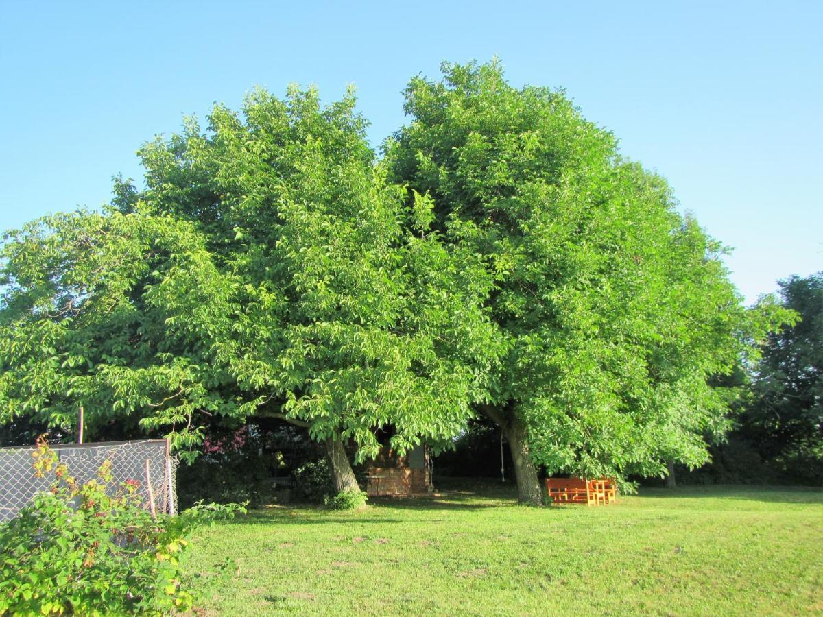 Pod Orehi Postojna Exteriör bild