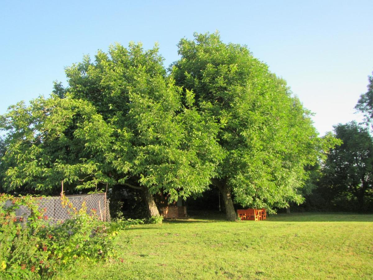 Pod Orehi Postojna Exteriör bild